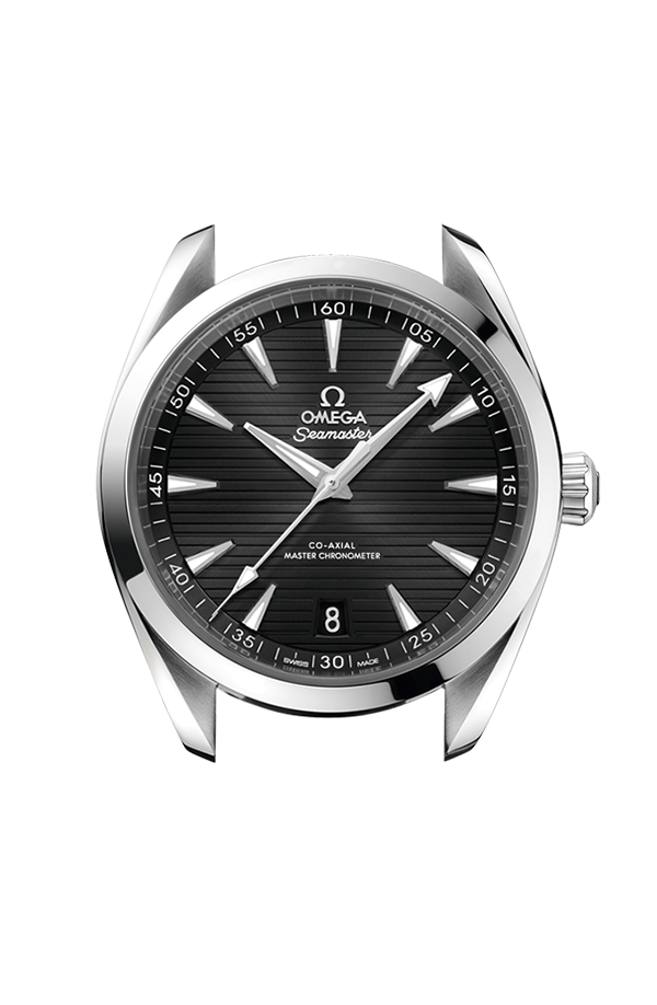 Watch head of 海馬系列 Aqua Terra 150米 41毫米, 不銹鋼 配襯 不銹鋼表鏈帶 - 220.10.41.21.01.001