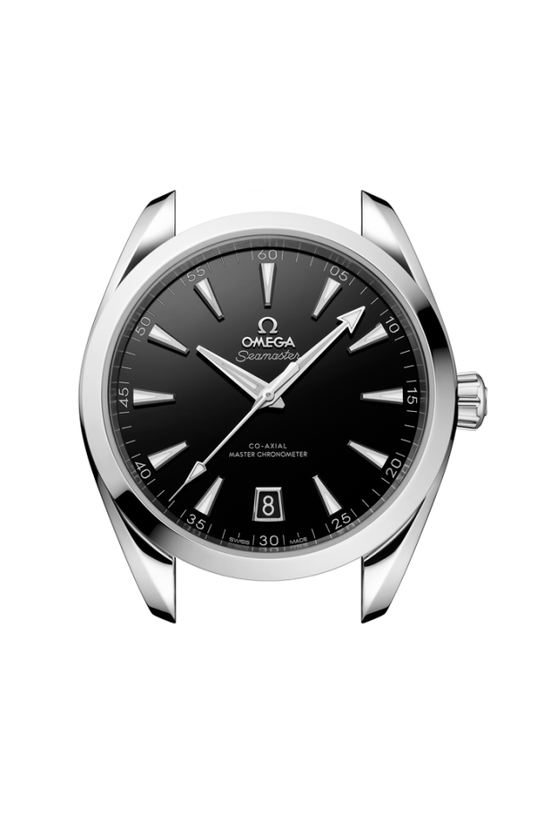 Watch head of 海馬系列 Aqua Terra 150米 41毫米, 不銹鋼 配襯 不銹鋼表鏈帶 - 220.10.41.21.01.002