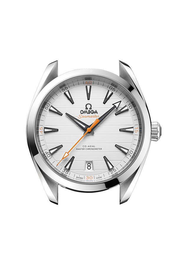 Watch head of 海馬系列 Aqua Terra 150米 41毫米, 不銹鋼 配襯 不銹鋼表鏈帶 - 220.10.41.21.02.001
