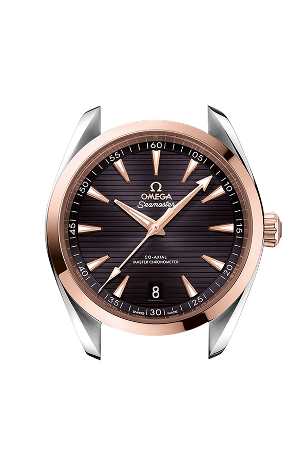 Watch head of 海馬系列 Aqua Terra 150米 41毫米, 不銹鋼-Sedna™金表殼 配襯 不銹鋼-Sedna™金表鏈帶 - 220.20.41.21.06.001