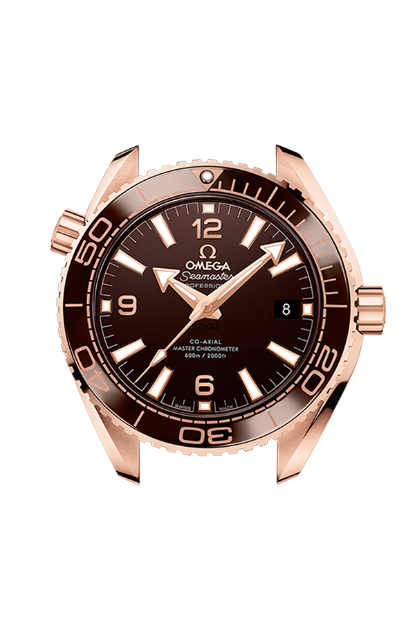 Watch head of 海馬系列 Planet Ocean 600米 39.5毫米, Sedna™金表殼 配襯 橡膠襯裡皮表帶 - 215.63.40.20.13.001