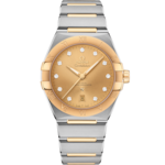 Constellation 39 mm, steel - yellow gold on steel - yellow gold - 131.20.39.20.58.001