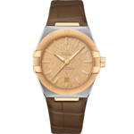 Constellation 39 mm, steel - yellow gold on leather strap - 131.23.39.20.08.001