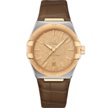 Constellation 39 mm, steel - yellow gold on leather strap - 131.23.39.20.08.001