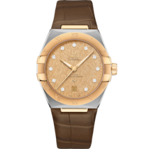 Constellation 39 mm, steel - yellow gold on leather strap - 131.23.39.20.58.001