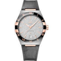 Constellation 41 mm, steel - Sedna™ gold on leather strap - 131.23.41.21.06.001