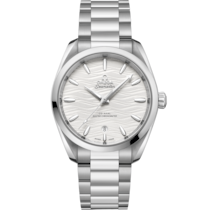 Seamaster Aqua Terra 150M 38 mm, steel on steel - 220.10.38.20.02.003