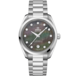 Seamaster 38 mm, steel on steel - 220.10.38.20.57.001