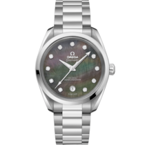 Seamaster 38 mm, steel on steel - 220.10.38.20.57.001