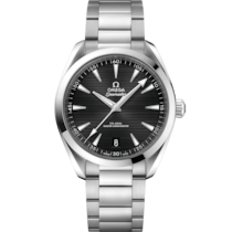 Seamaster Aqua Terra 150M 41 mm, steel on steel - 220.10.41.21.01.001