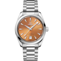 Seamaster Aqua Terra Shades 38 mm, steel on steel - 220.10.38.20.12.001