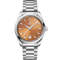 Seamaster 38 mm, steel on steel - 220.10.38.20.12.001