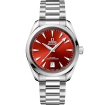 Seamaster 38 mm, steel on steel - 220.10.38.20.13.003