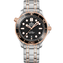 Seamaster 42 mm, steel - Sedna™ gold on steel - Sedna™ gold - 210.20.42.20.01.001