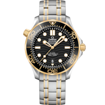 Seamaster 42 mm, steel - yellow gold on steel - yellow gold - 210.20.42.20.01.002