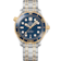 Seamaster 42 mm, steel - yellow gold on steel - yellow gold - 210.20.42.20.03.001