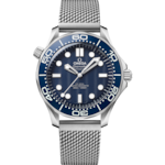 Seamaster 42 mm, steel on steel - 210.30.42.20.03.002