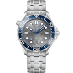 Seamaster 42 mm, steel on steel - 210.30.42.20.06.001