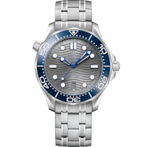 Seamaster 42 mm, steel on steel - 210.30.42.20.06.001