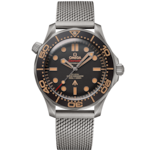 Seamaster 42 mm, titanium on titanium - 210.90.42.20.01.001