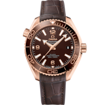 Seamaster 39.5 mm, Sedna™ gold on leather strap with rubber lining - 215.63.40.20.13.001