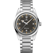 Seamaster Railmaster 38 mm, steel on steel - 220.10.38.20.01.002