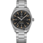 Seamaster 40 mm, steel on steel - 220.10.40.20.01.001