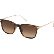 Sunglasses - Rectangular style, Unisex - OM0025-H5452F