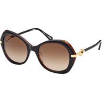 太陽眼鏡 - 蝴蝶款式，經典系列, 女士 - OM0036-H5505F