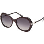 太陽眼鏡 - 蝴蝶款式，經典系列, 女士 - OM0036-H5569B