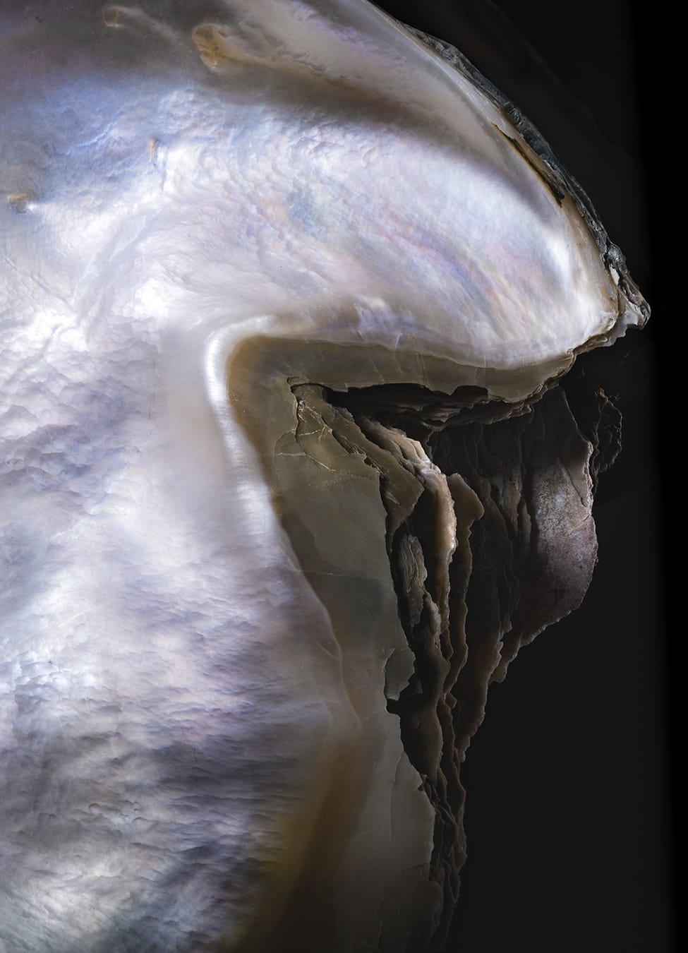 Material - Mother-of-pearl
